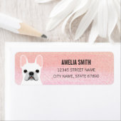 Labels op het Franse bulldog-adres (Insitu)