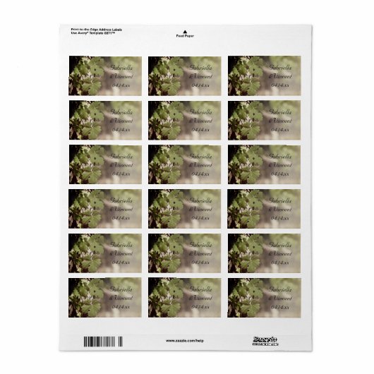 Labels van druiven uit de wijnstok (Full Sheet)