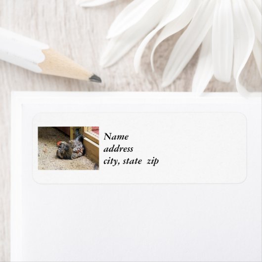 Labels voor Chicken Return-adres (Insitu)