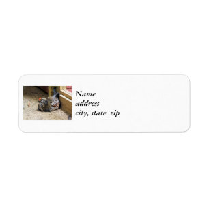 Labels voor Chicken Return-adres