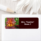 Labels voor docentenkamer stickers Kamer #'s (Insitu)