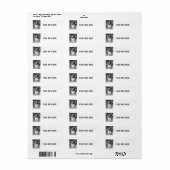 LABELS VOOR DOLPHIN SMILING RETURN ADRES (Full Sheet)