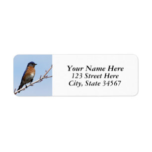 Labels voor het teruggeven van Bluebird Return-adr