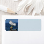 Labels voor het terugzendadres voor zeemleder en o (Insitu)