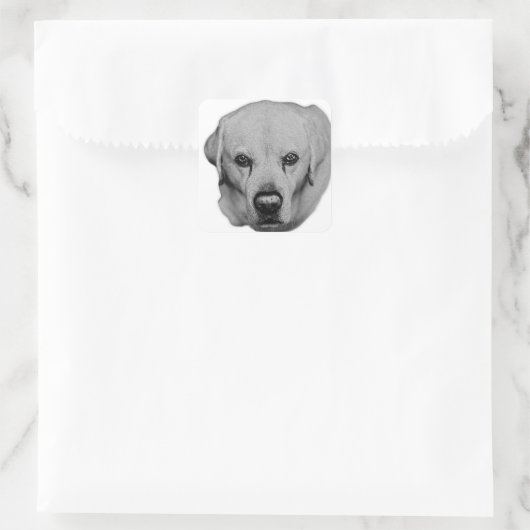 Labembleem: open ogen vierkante sticker (Tas)