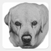 Labembleem: open ogen vierkante sticker (Voorkant)