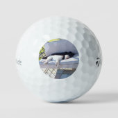 labgroep slaapt golfballen (Voorkant)