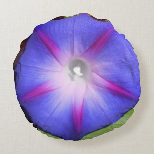 Labille-Guiard Rond Kussen (Achterkant)