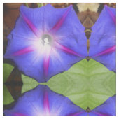 Labille-Guiard Stof (Close Up)