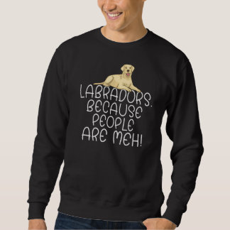 Laboratoria voor het terugwinnen van het laborator trui