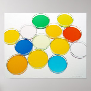 Laboratorium Dish 2 Poster