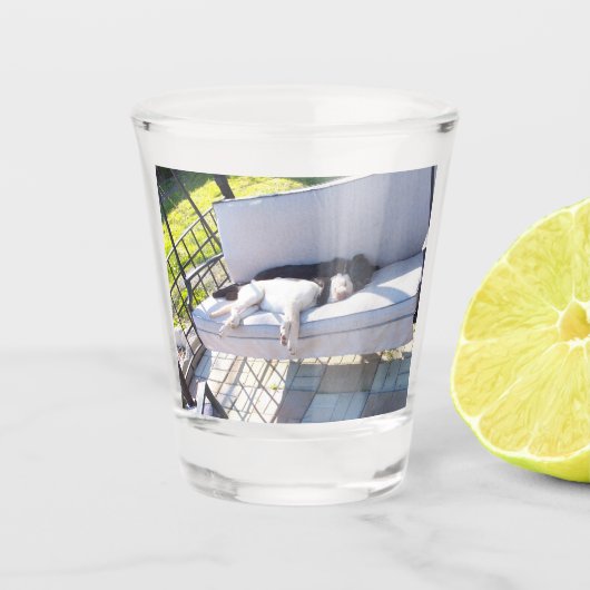 laboratoriumgroep slapen shot glas (Voorkant)