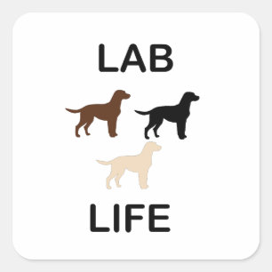 laboratoriumleven alle kleuren silhouettes vierkante sticker