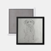 laboratoriummagneet magneet (Voorkant / Achterkant)