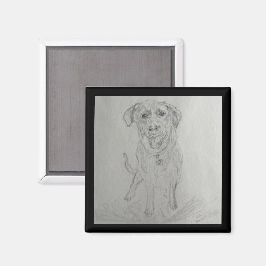 laboratoriummagneet magneet (Voorkant / Achterkant)