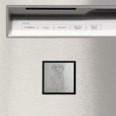 laboratoriummagneet magneet (Insitu (Vaatwasser))