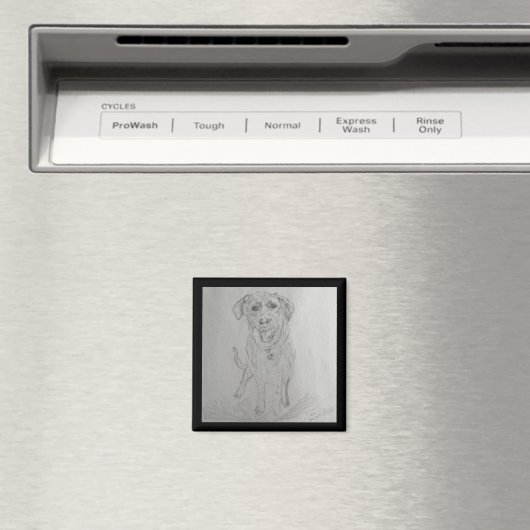 laboratoriummagneet magneet (Insitu (Vaatwasser))