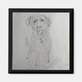 laboratoriummagneet magneet (Voorkant)