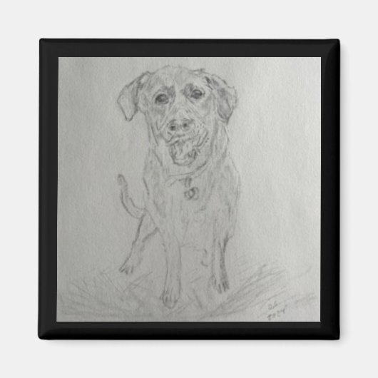 laboratoriummagneet magneet (Voorkant)