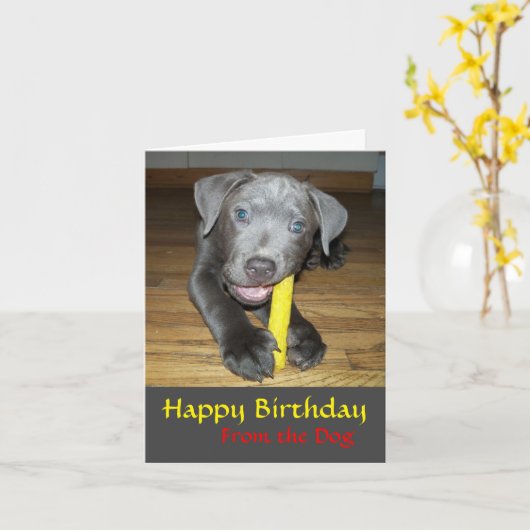 Labrabull Puppy Hondenliefhebber Birthday Kaart (Gele Bloem)