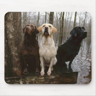 labrado-muispad muismat