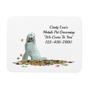 Labradoedle Dog in Leah Flexible Magnet Magneet