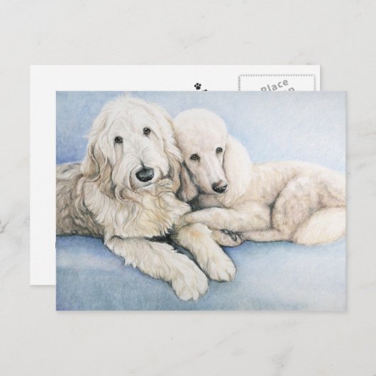 Labradoedle en Standard Poodle Dog Art Briefkaart (Voorkant / Achterkant)