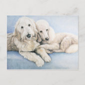 Labradoedle en Standard Poodle Dog Art Briefkaart (Voorkant)