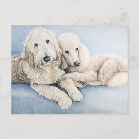 Labradoedle en Standard Poodle Dog Art Briefkaart (Voorkant)