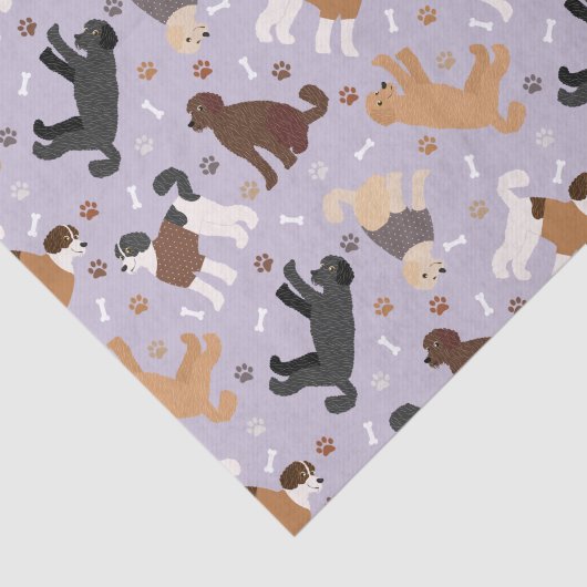 Labradoedle/Goldendoedle Botten en pokken Tissuepapier (Detail)