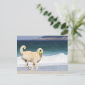 Labradoedle - Happy Day op strand Briefkaart (Staand voorkant)