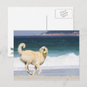 Labradoedle - Happy Day op strand Briefkaart (Voorkant / Achterkant)