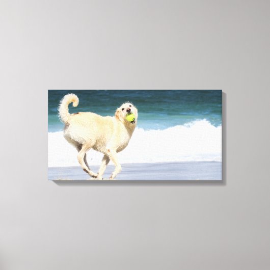 Labradoedle - Happy Day op strand Canvas Afdruk (Voorkant)