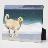 Labradoedle - Happy Day op strand Fotoplaat (Zijkant)