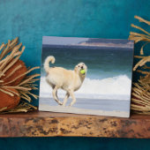 Labradoedle - Happy Day op strand Fotoplaat (Zijkant)