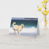 Labradoedle - Happy Day op strand Kaart (Gele Bloem)
