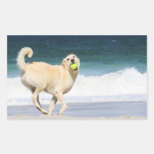 Labradoedle - Happy Day op strand Rechthoekige Sticker