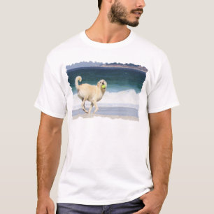Labradoedle - Happy Day op strand T-shirt