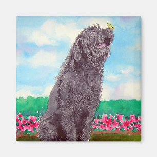 Labradoedle met Butterfly Magnet