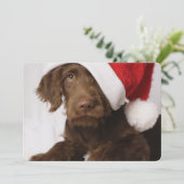 Labradoedle met een kersthoed feestdagenkaart (Staand voorkant)