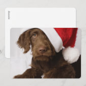 Labradoedle met een kersthoed feestdagenkaart (Voorkant / Achterkant)