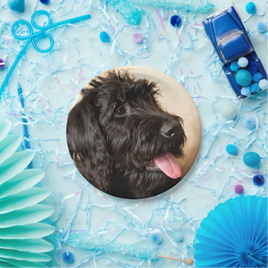 Labradoedle Paper Borden, 7" Papieren Bordje (Feest)