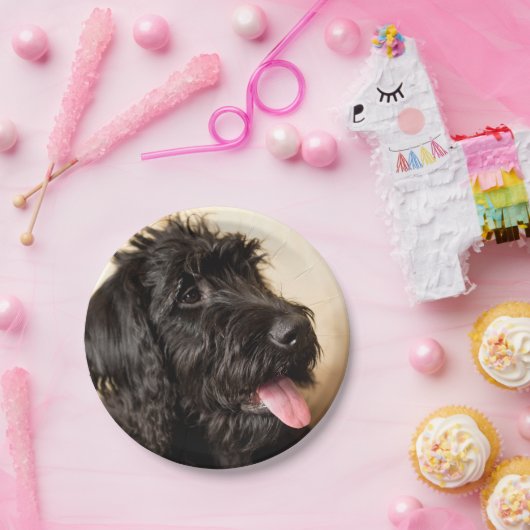 Labradoedle Paper Borden, 7" Papieren Bordje (Feest)