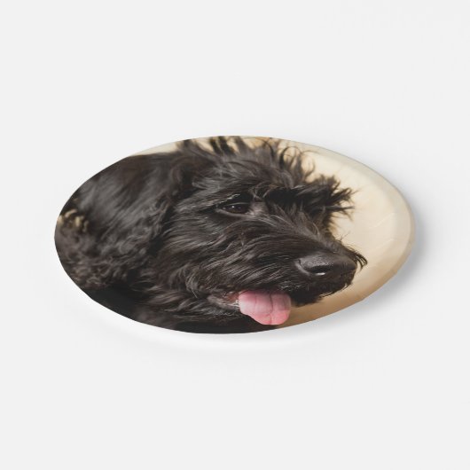 Labradoedle Paper Borden, 7" Papieren Bordje (Gekanteld)
