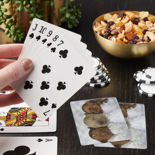 Labradoedle Puppy Speekkaarten Pokerkaarten (Insitu)