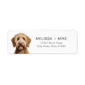 Labradoedle Return Address Labels (Voorkant)