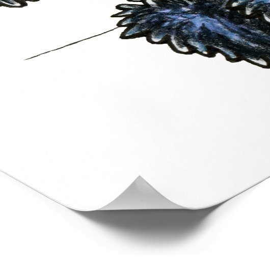 Labradoedles Black Yellow Up Poster (Hoek)