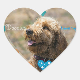 Labradoedles hebben mijn ❤ sticker
