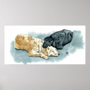 Labradoedles in Love Canvas Print