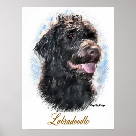 Labradole Art Print (Voorkant)